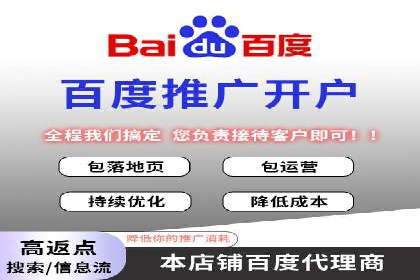 百度推广费用投入与品牌故事传播的案例分析